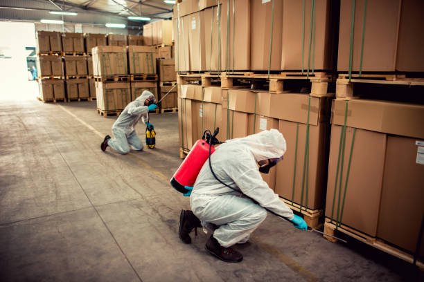 Best Pest Control Near Me in Hastings, MI