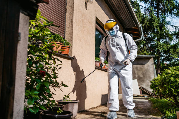 Best Insect Control  in Hastings, MI