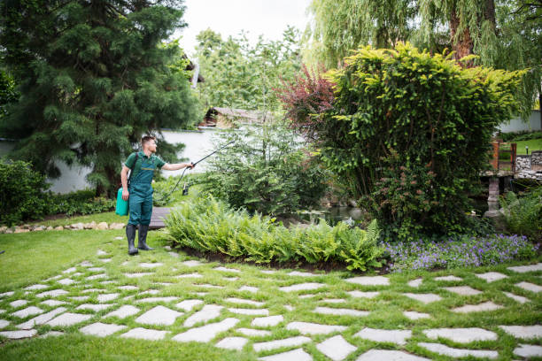 Best Pest Inspection Near Me  in Hastings, MI