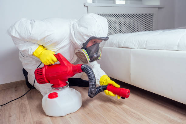 Best Pest Control Near Me  in Hastings, MI