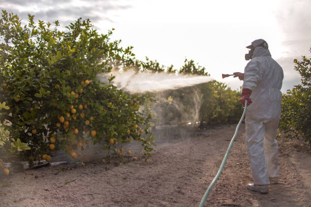 Best Emergency Pest Control  in Hastings, MI