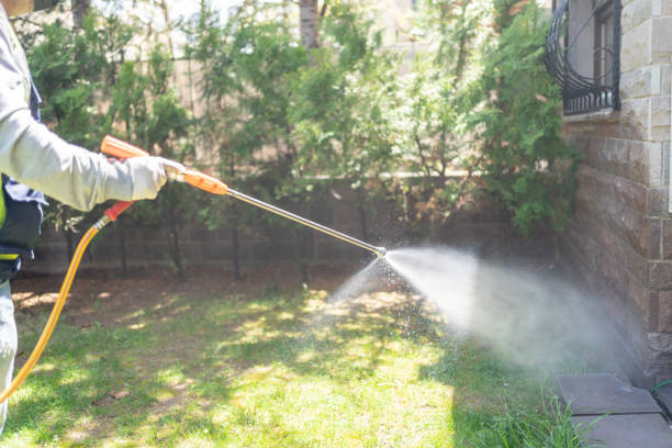 Best Affordable Pest Control Services  in Hastings, MI