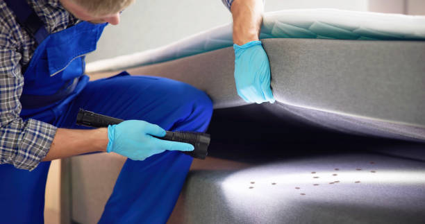 Best Exterminator Services  in Hastings, MI