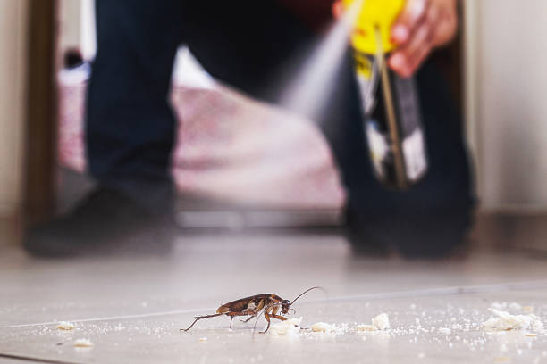 Best Local Pest Control Services  in Hastings, MI