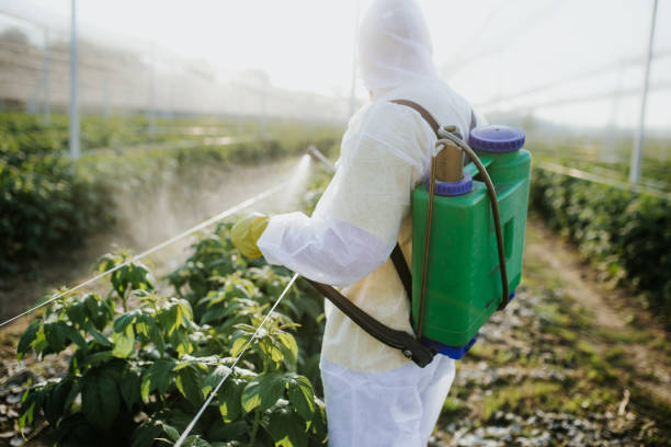 Best Pest Removal Services  in Hastings, MI